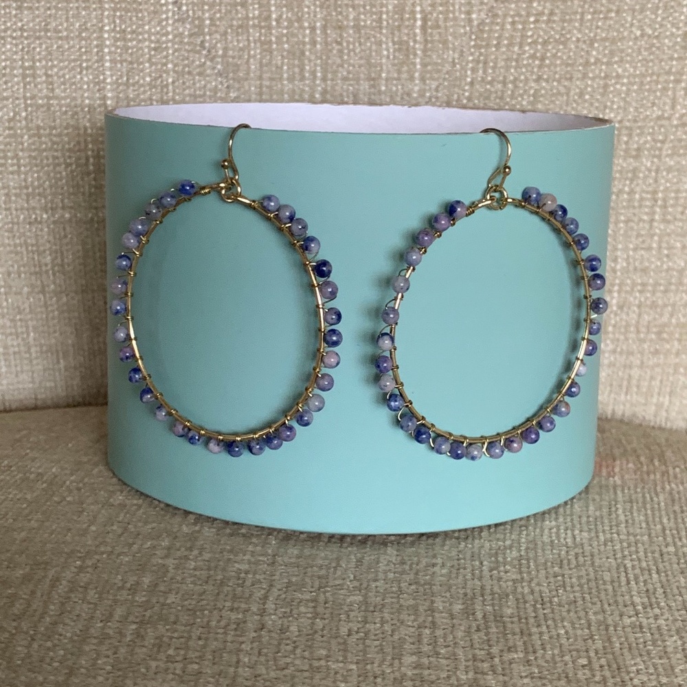 Sodalite Earrings